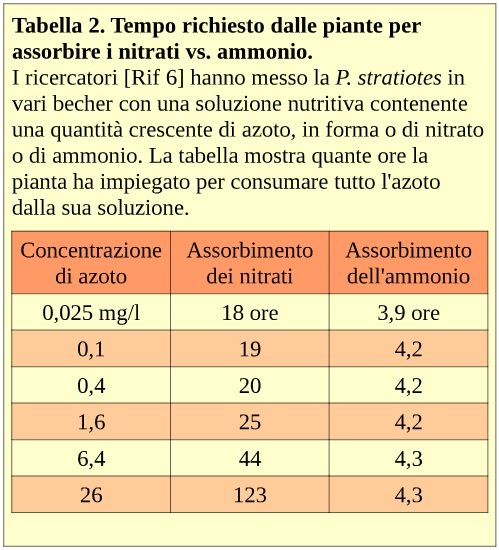 Piante vs filtri (di Diana Walstad) - Acquariofilia Facile