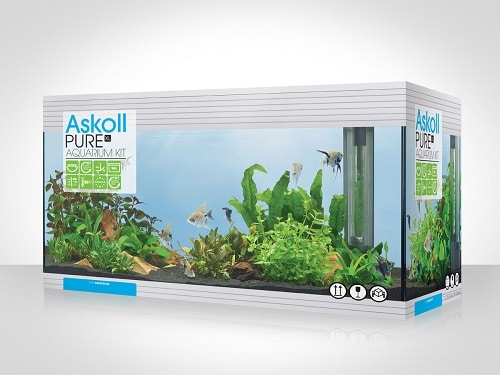 Askoll Pure L Mobile Nero