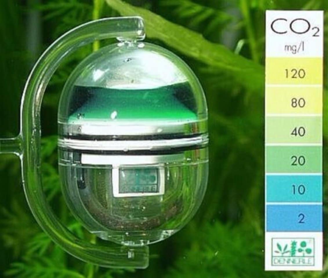 Whimar – Test Permanente CO2 – Aquariatech