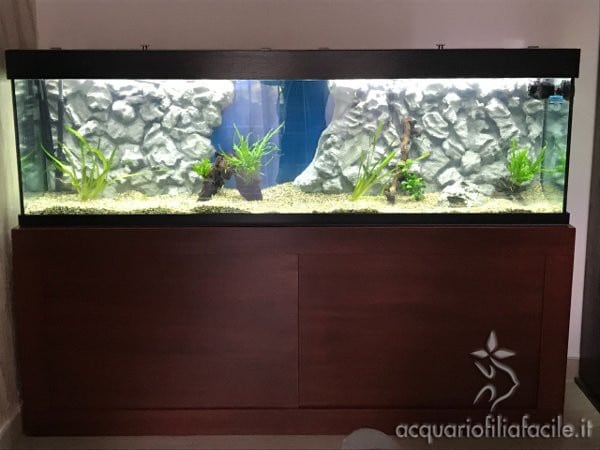 Un vaso da parete per l'acquario - Acquariofilia Facile