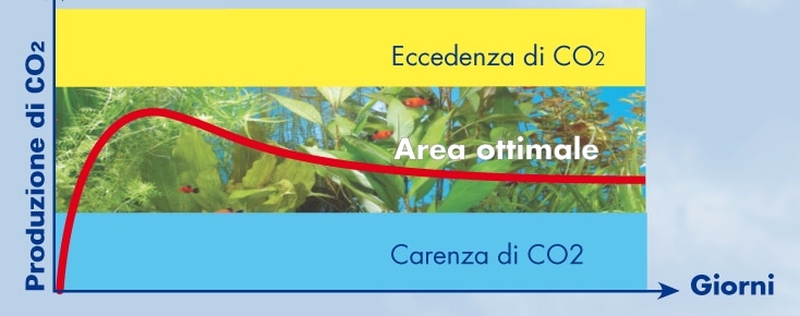 CO2 lieviti acquario con gel