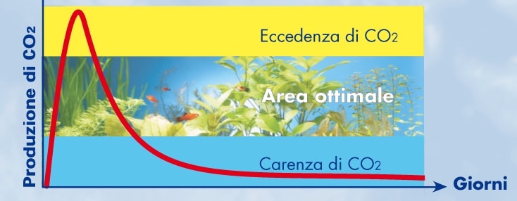 CO2 lieviti acquario senza gel