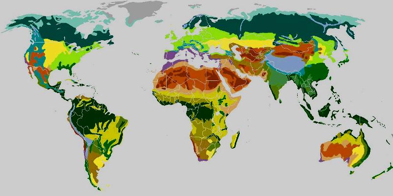 Mappa dei biòmi
