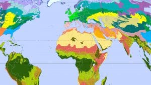 Acquario di biotopo... Ma cos'è un biòtopo?
