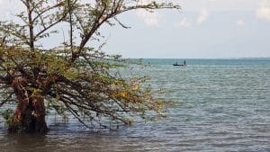 Il Lago Tanganica (o Tanganyika)
