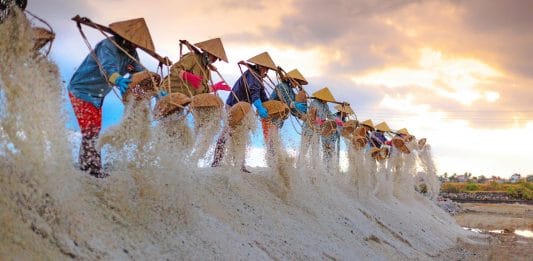 Bagni di sale per i pesci d'acquario