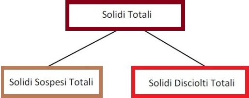 Grafico dei Solidi totali