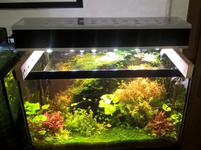 Acquario con plafoniera LED