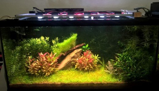 Acquario LED