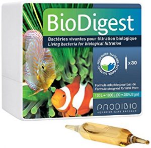 Prodibio BioDigest