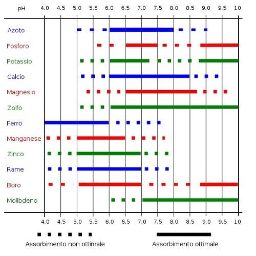 Solubilità e assorbimento degli elementi nutritivi in relazione al pH del terreno - Autore: Giancarlo Dessì - Fonte: Wikipedia - Licenza Creative Commons Solubilità e assorbimento degli elementi nutritivi in relazione al pH del terreno