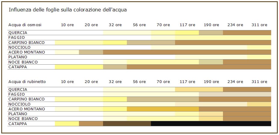 Effetto delle foglie sulla colorazione dell'acqua di osmosi e di rubinetto