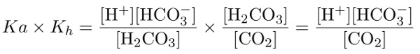 Ka × Kh = ([H+][HCO3-]/[H2CO3]) × ([H2CO3]/[CO2]) = [H+][HCO3-]/[CO2]