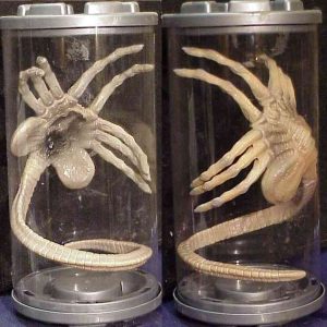 Facehugger Conservati