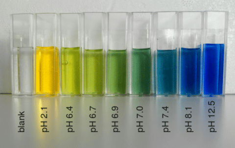 Variazioni di colore del bromotimolo al variare del pH
