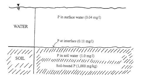 Figura VIII 4