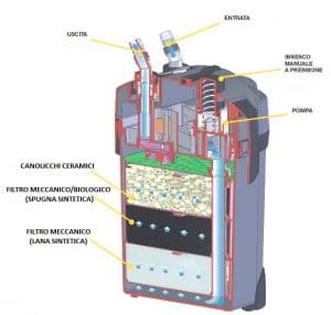 Sezione di un filtro esterno con ingresso dell'acqua dal fondo