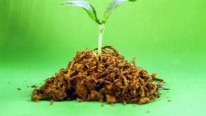 Il terriccio da giardinaggio come fondo fertile