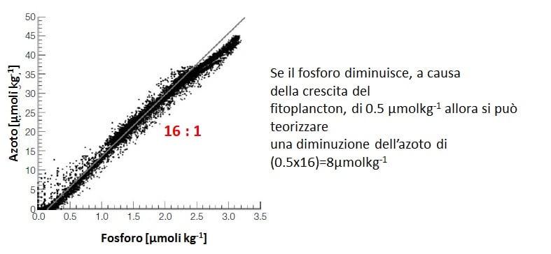 Correlazione tra azoto e fosforo