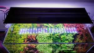Ledstar serie J