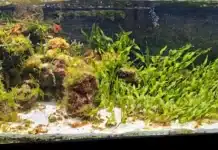 Acquario mediterraneo