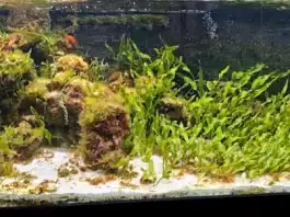Acquario mediterraneo