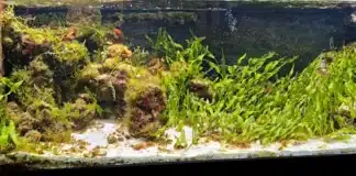 Acquario mediterraneo
