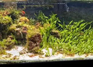 Acquario mediterraneo