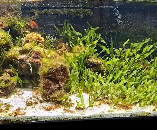 Acquario mediterraneo