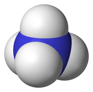 Ione ammonio in raffigurazione van der Waals - Dominio pubblico - Fonte: Wikipedia https://it.wikipedia.org/wiki/Ammonio#/media/File:Ammonium-3D-vdW.png