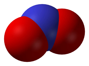 Ione nitrito in raffigurazione van der Waals - Dominio pubblico - Fonte: Wikipedia https://it.wikipedia.org/wiki/Diossido_di_azoto#/media/File:Nitrogen-dioxide-3D-vdW.png