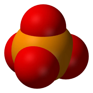 Ione fosfato in raffigurazione van der Waals - Dominio pubblico - Fonte: Wikipedia https://it.wikipedia.org/wiki/Fosfato#/media/File:Phosphate-3D-vdW.png